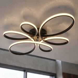 Trio Lighting Stropní svítidlo Fly LED, matná černá, 3 000 K, 83 cm x 45 cm, stmívatelný, Černá, Obývací pokoj / jídelna, kov, Moderní