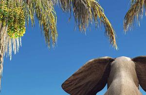 Malvis Vtipný slon na pláži Velikost: 40x30 cm