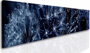 Obraz Pampeliška Blue Velikost (šířka x výška): 180x30 cm