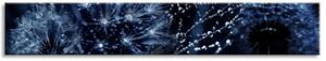 Obraz Pampeliška Blue Velikost (šířka x výška): 180x30 cm