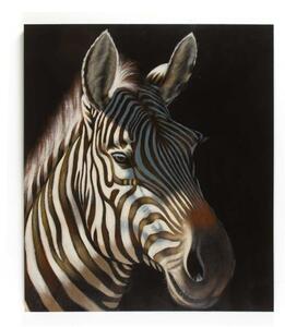 Obraz Zebra 150x130 cm