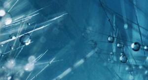 Malvis Pampeliška v zimní mlze Velikost: 150x60 cm