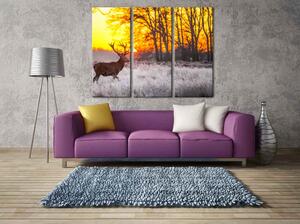 Malvis Strážce lesa jelen Velikost: 90x70 cm