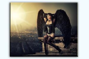Malvis Temný anděl Velikost (šířka x výška): 25x20 cm