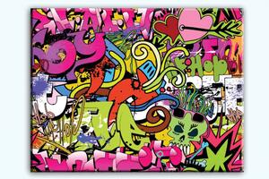 Malvis Obraz dívčí graffitti Velikost: 80x60 cm