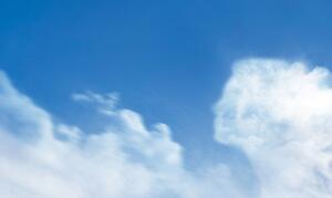 Malvis Andělské zjevení Velikost: třídílný obdélník - 90x60 cm