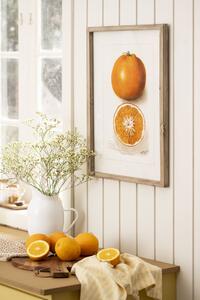Obraz v rámu Citrus Fruits 45 x 60 cm Pomeranč