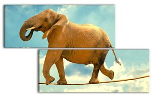 Malvis Sloní rovnováha Velikost: 170x100 cm