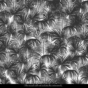 Fototapeta Uklidňující palmový stín Samolepící 250x250cm