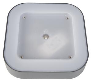 Nástěnné a stropní svítidlo šedé čtvercové IP54 - Ariel