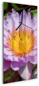 Skleněné hodiny vertikální Lilie zsppc-30x60-00173354