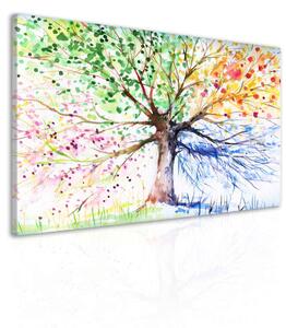 Malvis Obraz malovaný strom ročních období Velikost (šířka x výška): 60x40 cm