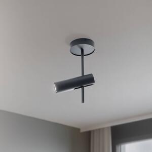 SIGMA Stropní bodové osvětlení Leda 1, antracit, 1 žárovka, ocel, výška 34 cm, stmívatelný, Černá, Obývací pokoj / jídelna, kov, Moderní