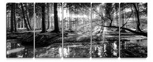 Malvis Obraz černobílá pohoda lesa Velikost: 100x45 cm