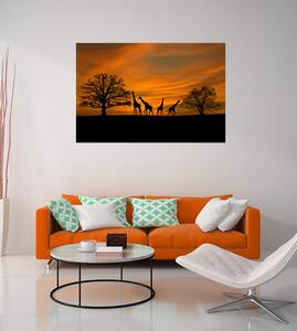 Malvis Obraz západ slunce na safari Velikost: 150x100 cm