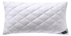 POLŠTÁŘ POD HLAVU, 40/80 cm Billerbeck - Polštáře pod hlavu