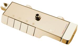 Rea Rob, sprchový set s termostatickou baterií a bidetovou sprškou, zlatá lesklá, REA-P6625