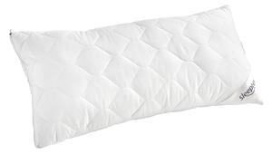 POLŠTÁŘ POD HLAVU, 40/80 cm Sleeptex - Polštáře pod hlavu