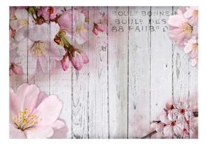 Fototapeta - Apple Blossoms