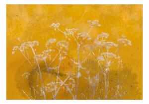 Fototapeta - Meadow Bathed in the Sun