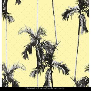 Fototapeta Příjemné chlazení listy Paradiských Palm Samolepící 250x250cm