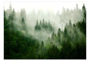 Fototapeta - Mountain Forest (Green)