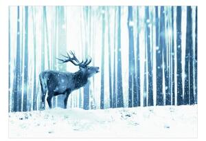 Fototapeta - Deer in the Snow (Blue)