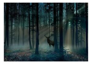 Fototapeta - Mystical Forest - Third Variant