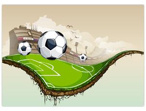 Obraz - Fotbalové hřiště (70x50 cm)