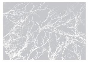 Fototapeta - White Trees
