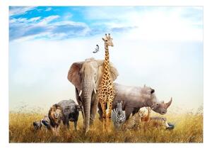 Fototapeta - Fauna of Africa