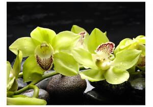 Murando DeLuxe Zelená orchidej Rozměry (š x v) a Typ: 147x105 cm - samolepící