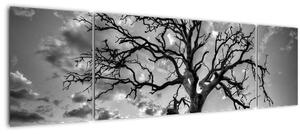 Obraz - Černobílý strom (170x50 cm)