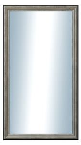 DANTIK - Zarámované zrcadlo - rozměr s rámem cca 50x90 cm z lišty Anversa stříbrná (3152)