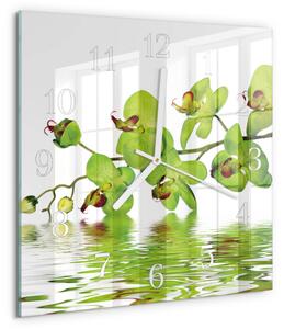 Skleněné hodiny Orchidej zskb-30x30-00079049