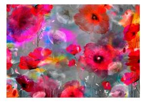 Fototapeta - Painted Poppies