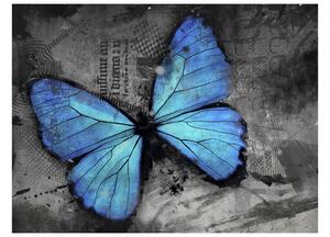 Tapeta Modrý motýl + lepidlo ZDARMA Velikost (šířka x výška): 200x154 cm
