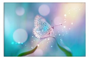 Malvis Obraz motýl Velikost: 60x40 cm