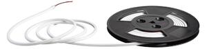 FAN FLEX24V-6X6-5M LED pásek Neon Strip Flex 24 V, 5 W/m, 2400 lm, 4000 K, IP65, 6 x 6 mm x 5 m - FANEUROPE