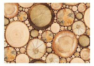Fototapeta - Wood grains