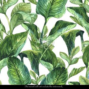 Fototapeta V houští tropických listů Samolepící 250x250cm