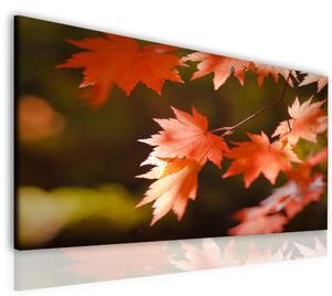 Malvis Kouzlo podzimního listu Velikost: 90x60 cm
