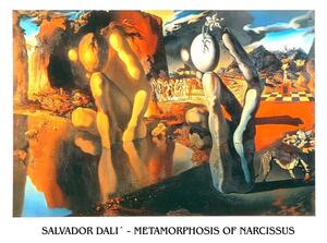 Umělecký tisk Metamorfóza Narcise, 1937, Salvador Dalí, (80 x 60 cm)