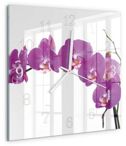 Skleněné hodiny Orchidej zskb-30x30-00082159