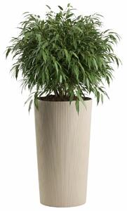 PLASTOVÝ KVĚTINÁČ URBANIKA ECO 57X29,5 CM LATTE