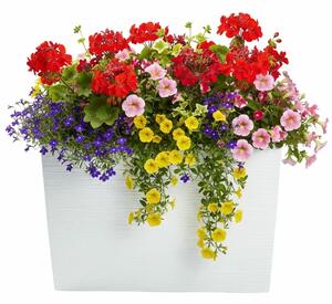 PLASTOVÝ KVĚTINÁČ BLOOM RIFLO 36X56X20 CM BÍLÁ