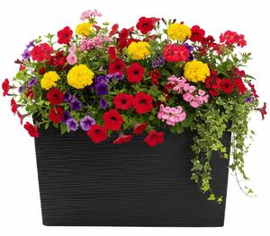 PLASTOVÝ KVĚTINÁČ BLOOM RIFLO 36X56X20 CM ČERNÁ