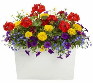 PLASTOVÝ KVĚTINÁČ BLOOM RIFLO 36X56X20 CM KRÉMOVÁ