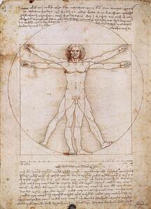 Umělecký tisk Vitruvius - Proporce lidské postavy, Leonardo Da Vinci, (50 x 70 cm)