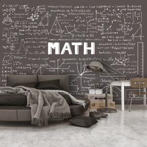 Fototapeta - Mathematical Handbook